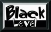 Black Level lingerie