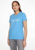 Tommy Hilfiger Shirt met ronde hals CREW NECK GRAPHIC TEE met groot logo opschrift online kopen
